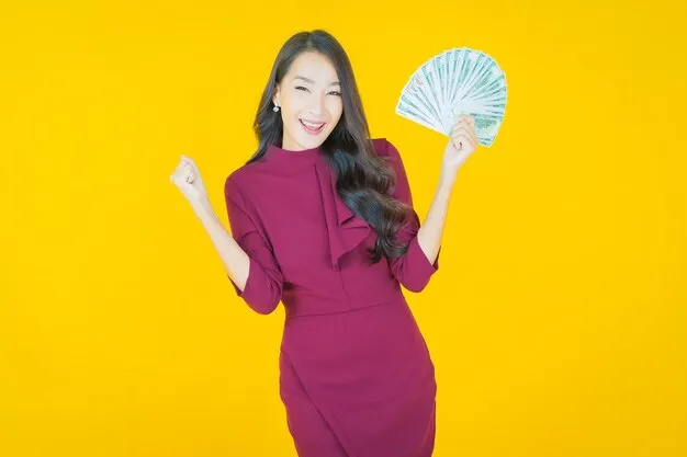 加拿大PC28 背景